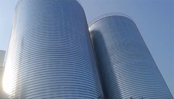 岭口镇2座混凝土高架卷板仓